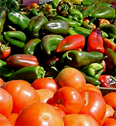 Italian agriculture food manufacturing suppliers, Italy agriculture wholesale Italian vendors and beverage manufacturing companies to the USA agriculture distribution vendors and mall market industry.. Share your industrial agriculture products manufacturing with the worldwide distribution market... Italian agriculture manufacturing suppliers industry to the wholesale industrial agriculture distribution in Dubai, United States, Italy, Germany, England, Ireland, Japan, Taiwan, Saudi Arabia, UAE, Brazil, Argentina, Peru, Venezuela, Mexico, Uruguay, Bolivia... Italian Business Guide your agriculture manufacturing suppliers source...