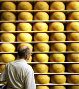 Italian Cheese and mozarella food manufacturing, Italian food suppliers, Italy agriculture products, olive oil, pasta, maccaroni, penne, spaghetti, farfalle, milk, frozen food, prosciutto, flour, bread, pizza... wholesale Italian vendors and beverage manufacturing companies to the USA agriculture distribution vendors and mall market industry.. Share your industrial agriculture products manufacturing with the worldwide distribution market... Italian agriculture manufacturing suppliers industry to the wholesale industrial agriculture distribution in Dubai, United States, Italy, Germany, England, Ireland, Japan, Taiwan, Saudi Arabia, UAE, Brazil, Argentina, Peru, Venezuela, Mexico, Uruguay, Bolivia... Italian Business Guide your agriculture manufacturing suppliers source...