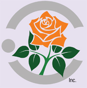 Orange roses, long stem florist orange roses now available at wholesale basis for your florist shop in USA and Canada... Orange France roses, Miracle orange roses, Coral Sea orange roses, Sombrero orange roses,... Rose Connection Inc. Los Angeles California offers the most fresh and premium orange flowers in USA and Canada, wholesale roses to florist shop at wholesale prices Fedex Free delivery included